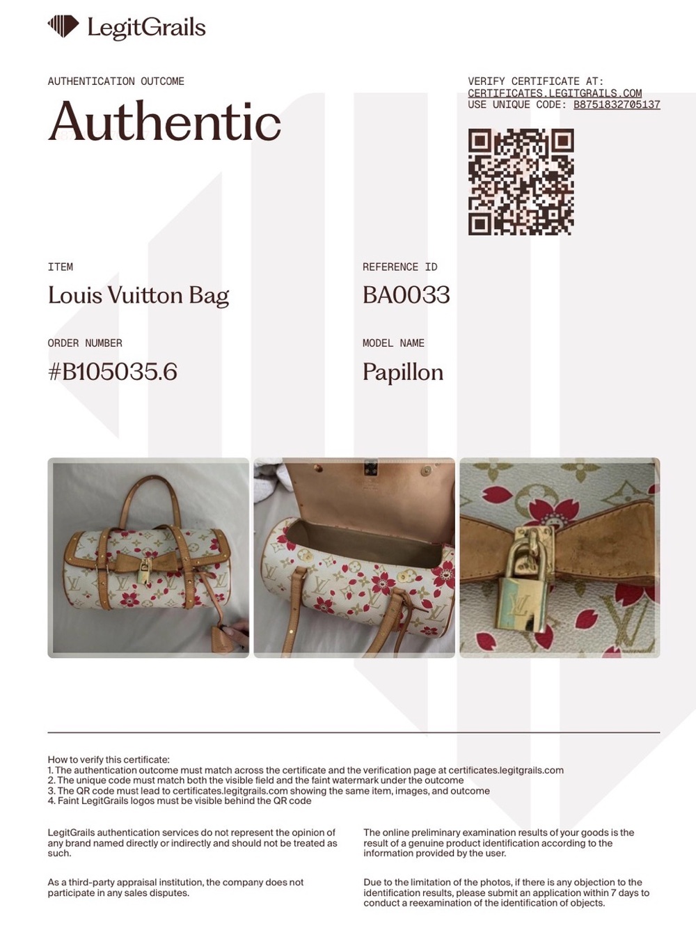 Louis Vuitton x Takashi Murakami Cherry Blossom Papillon - Picture 14 of 14